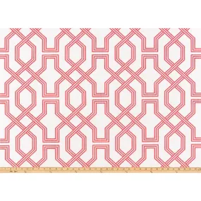 Ander Sunset Coral Luxe Canvas Fabric