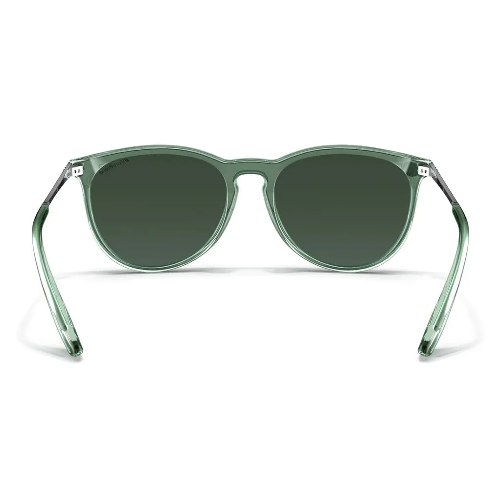 Blender Sunglasses - North Park X2 - Sage Oro