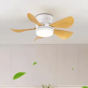 Donaldson | Lighted Ceiling Fan