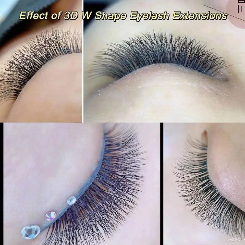 Fans Eyelash Extensions