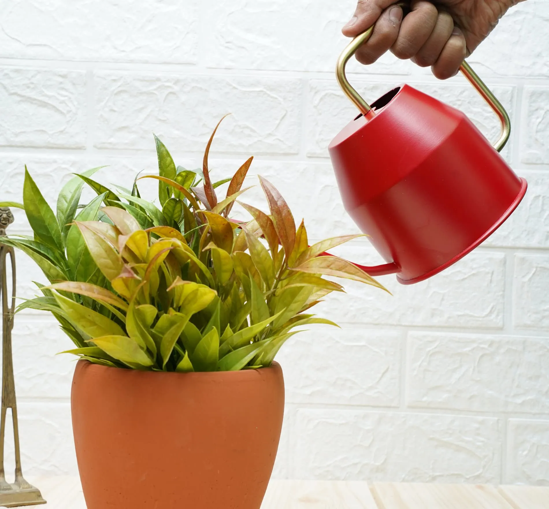 Gold Dust Watering Can for Plants, Plant Watering Can, Garden Watering Can, Water Can for Plants, Watering Cans, Watering Equipment for Garden (Red (0.9 Lt))