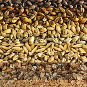 GRAIN BILL - Customer's Product with price 11.87 ID JEc_nCoC2K5x8K8DB9ygkXJx