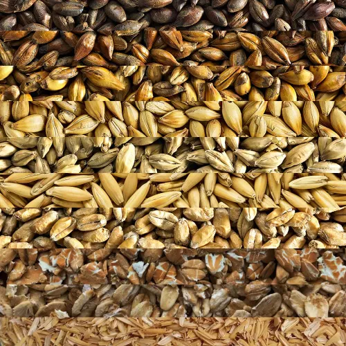 GRAIN BILL - Customer's Product with price 11.87 ID JEc_nCoC2K5x8K8DB9ygkXJx