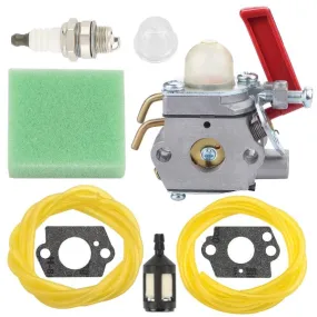 Hipa Carburetor Tune Up Kit for Homelite UT20760 UT20764 UT20769 US20751 UT15180 UT15176 B25C D725CD D825SB String Trimmer # 984534001