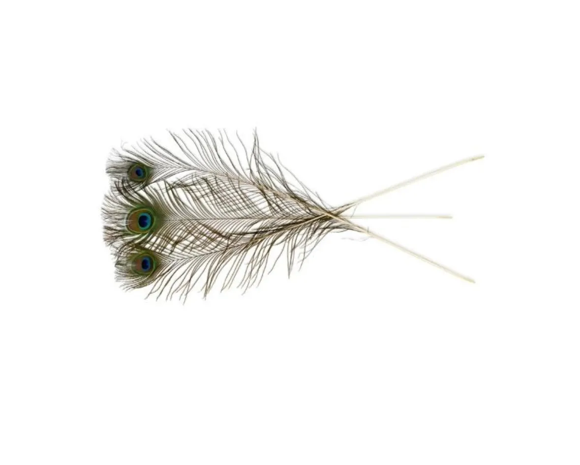 VEE NATURAL PEACOCK FEATHERS