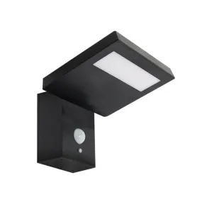 Zinder Solar Wall Light